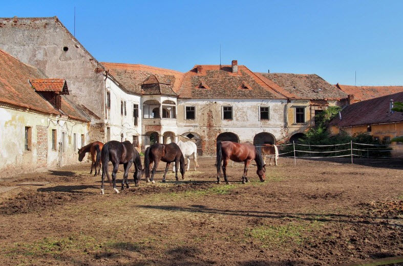 Zámek Rešice, Czech Republic (Czechia)